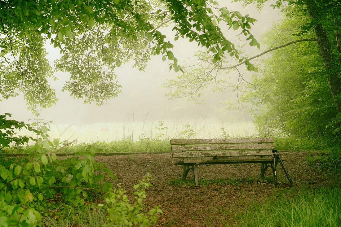 Bench in the morning mist at the lake, Bavaria, Germany