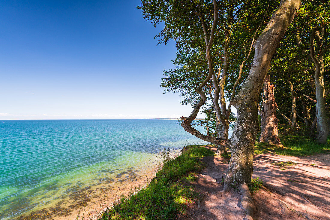 Blick auf die karibikblaue Ostsee, Weissenhäuser Strand, Ostholstein, Schleswig-Holstein, Deutschland