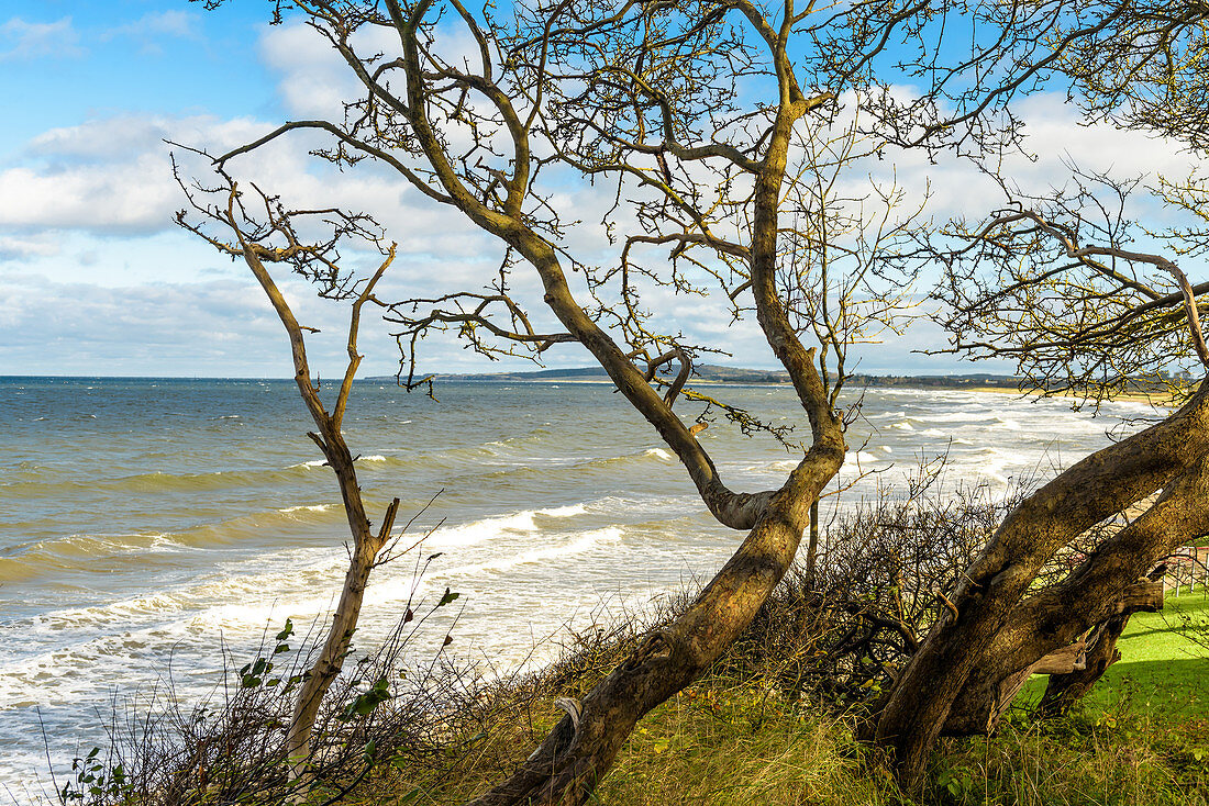 Blick auf das aufgewühlte Meer am Weissenhäuser Strand, Ostsee, Ostholstein, Schleswig-Holstein, Deutschland