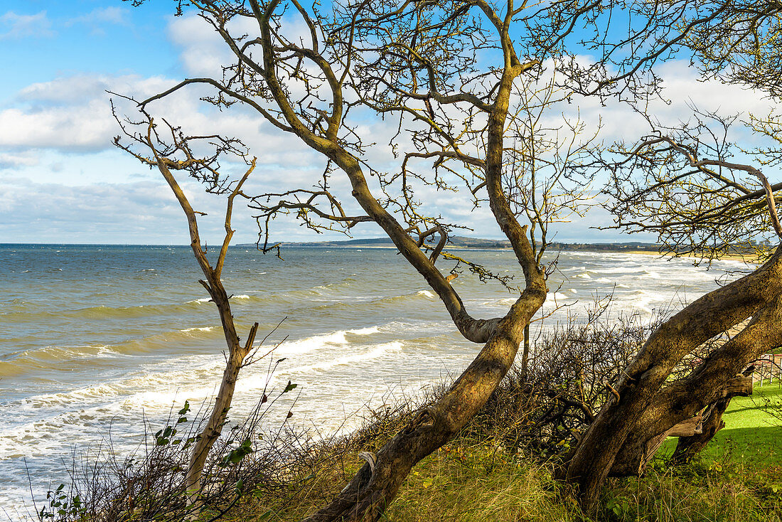 View of the troubled sea at Weissenhäuser Strand, Baltic Sea, Ostholstein, Schleswig-Holstein, Germany