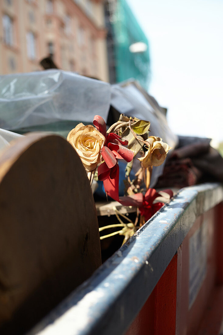 Dried up roses in a street container in Bratislava, Slovakia