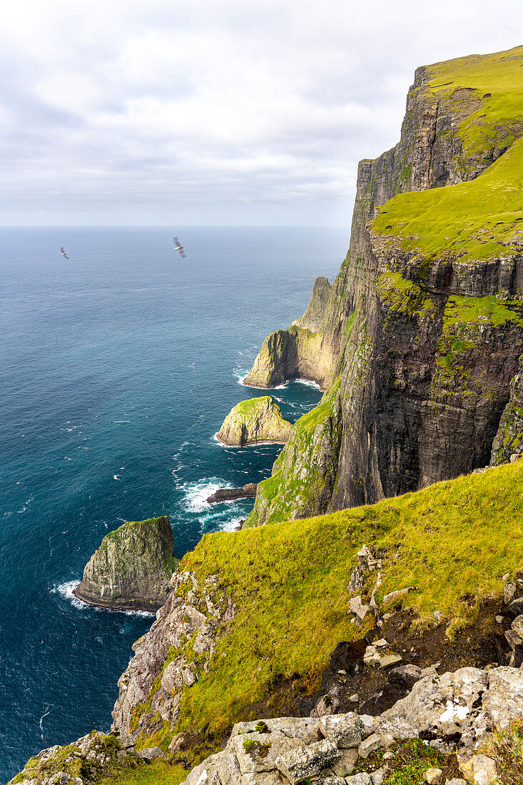 Steep coast in the Faroe Islands on a calm late summer day.
