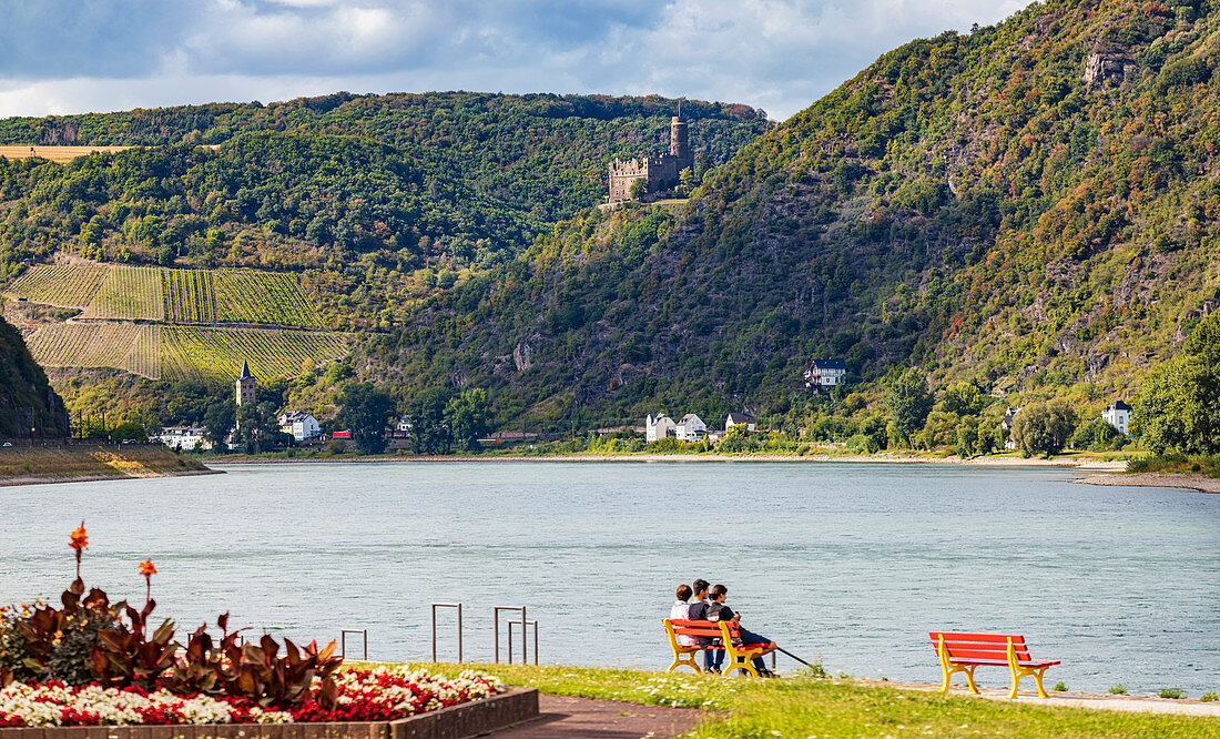 Der Rhein mit Blick auf Burg Maus bei Wellmich, Rheinland-Pfalz, Deutschland