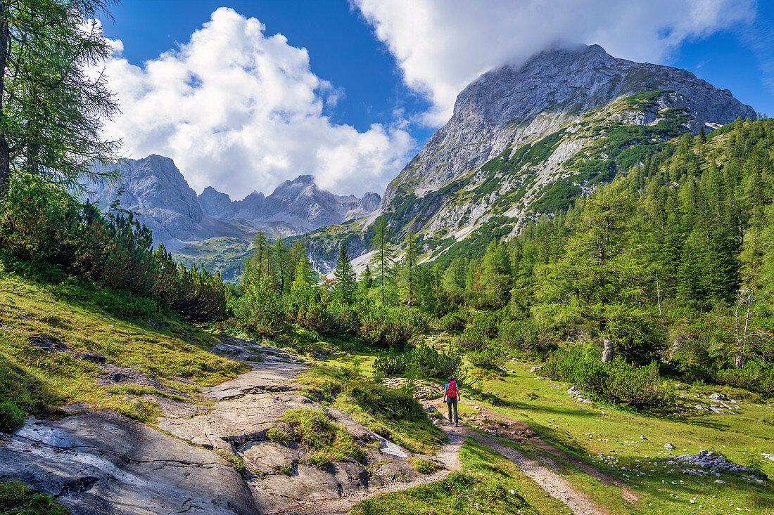 Zugspitze; Tyrol; Austria; Mountain forest; Mountains; Alps; Europe; Clouds; Summit; Summer; Fog; Rock; Seebensee; Seebenalm; Early fall; Lake; Hike; Mountain hiking;