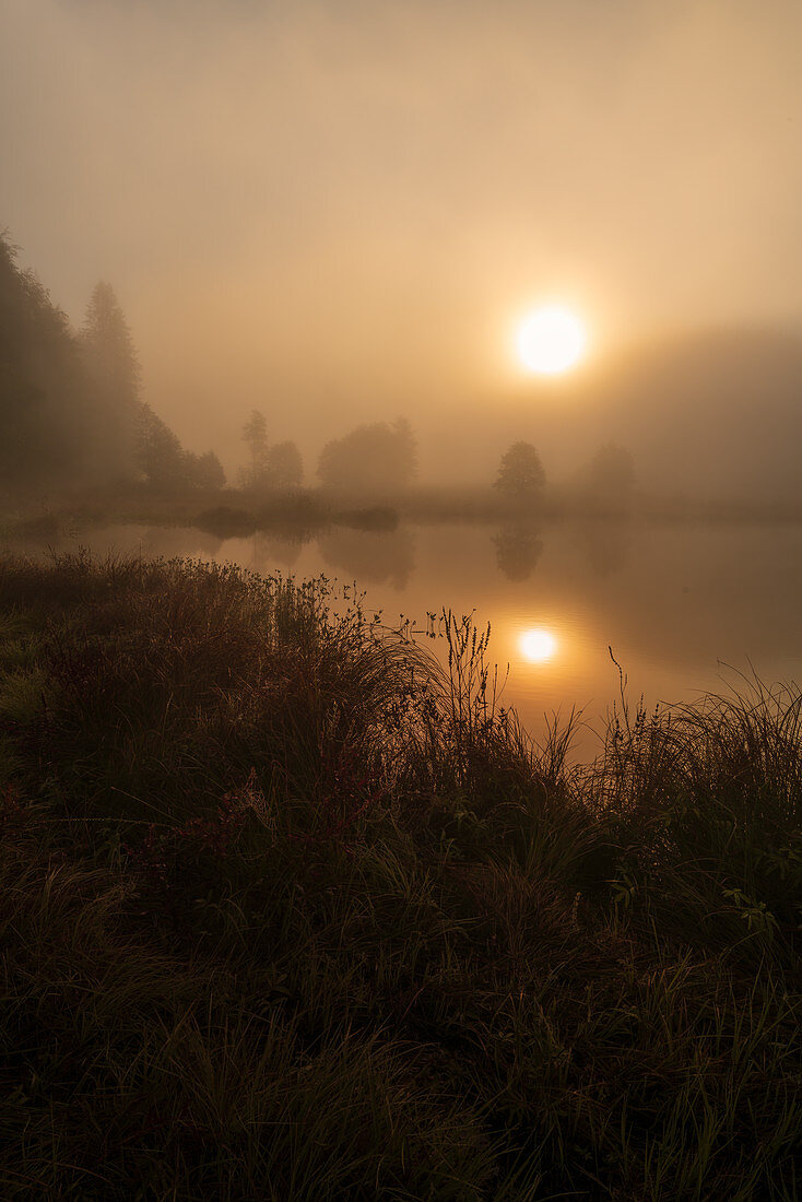 Am Geroldsee an einem nebligen Oktobermorgen, Krün, Bayern, Deutschland