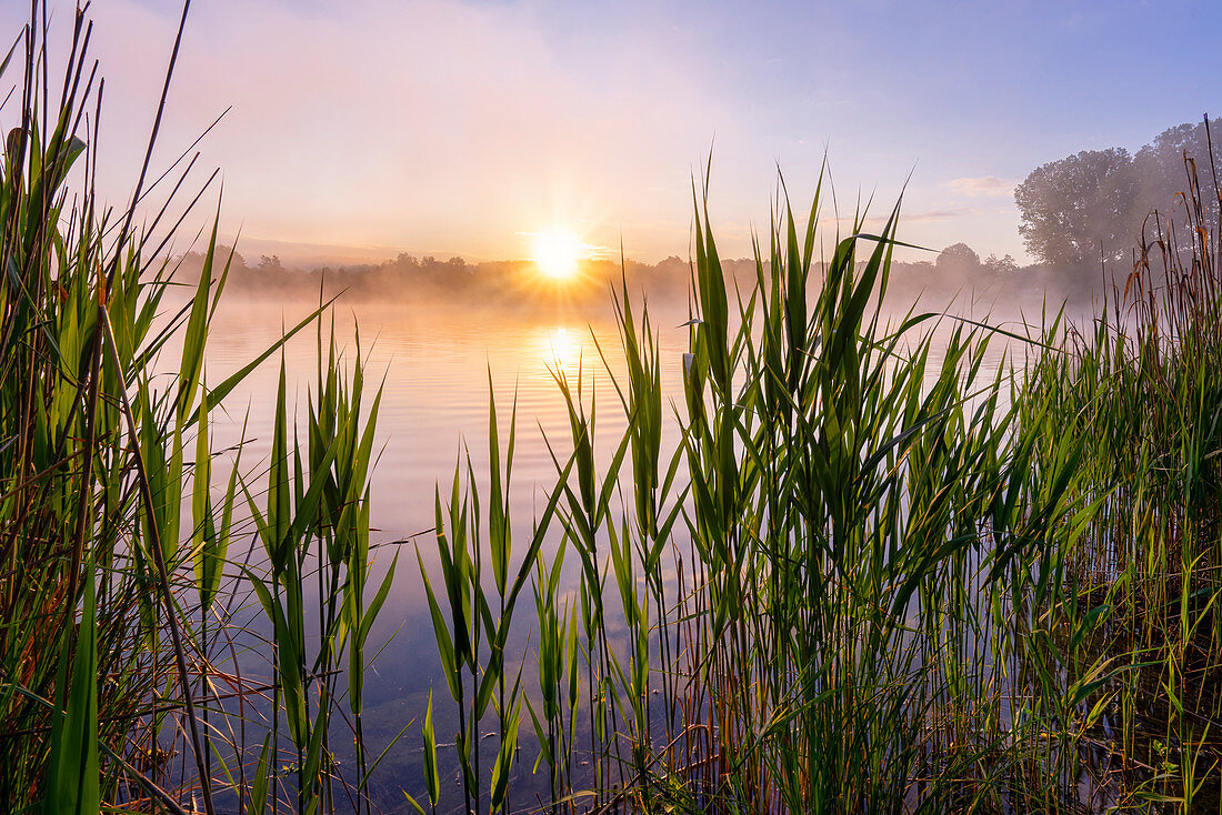 Early autumn morning at Dietlhofer See, Weilheim, Germany