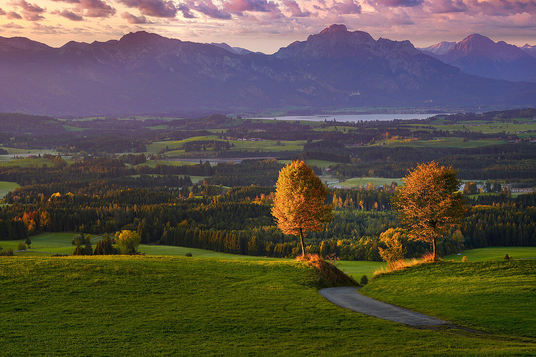Das Tor zum Herbst, Auerberg, Bayern, Deutschland
