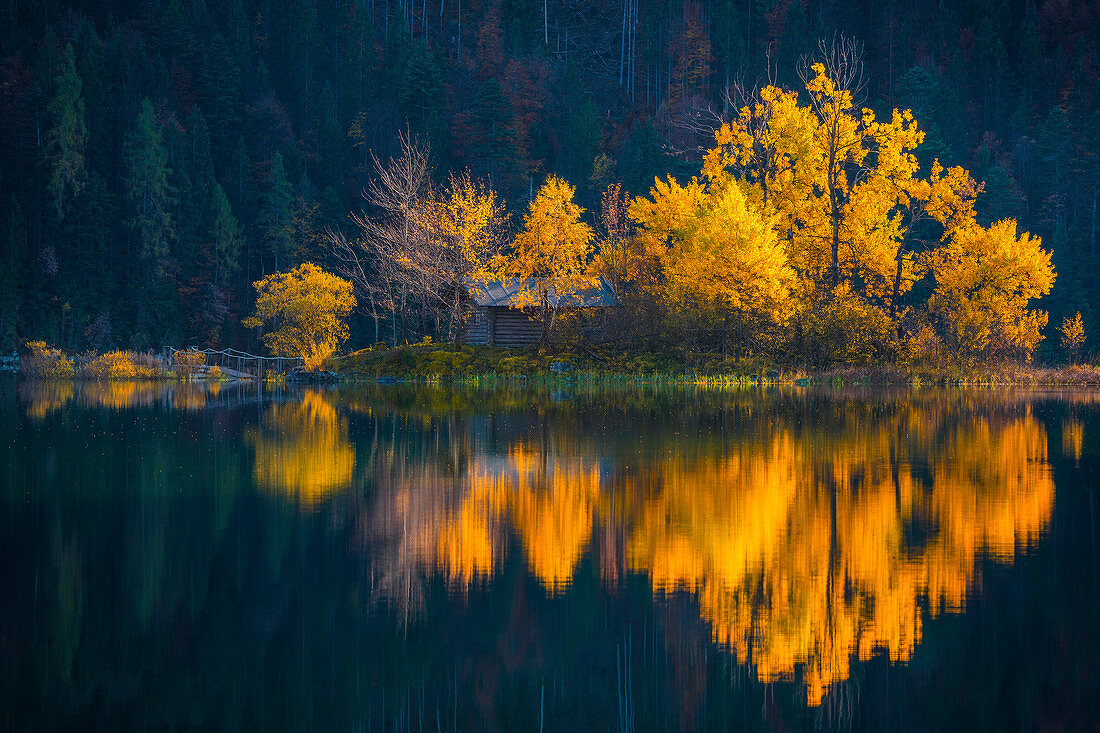 Eibseeinsel im goldenen Herbstkleid, Grainau, Bayern, Deutschland