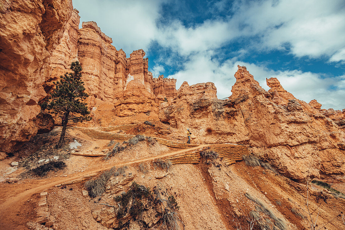 Frau auf Wanderweg mit Gesteinsformationen im Hintergrund im Bryce Canyon, Utah, USA, Nordamerika