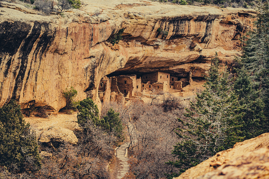 Cliff Palace in Mesa Verde National Park, Colorado, USA, North America