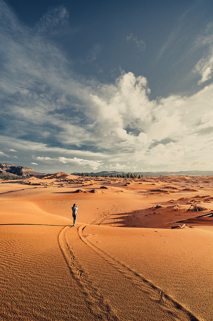 Coral Pink Sand Dunes State Park, Utah, USA, Nordamerika