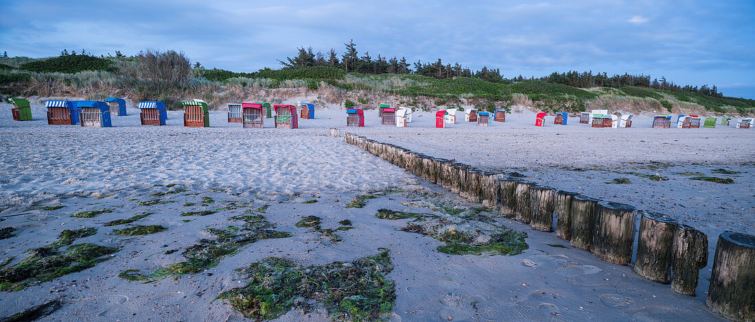 Strandkörbe auf der Insel Föhr, Nordfriesland, Deutschland