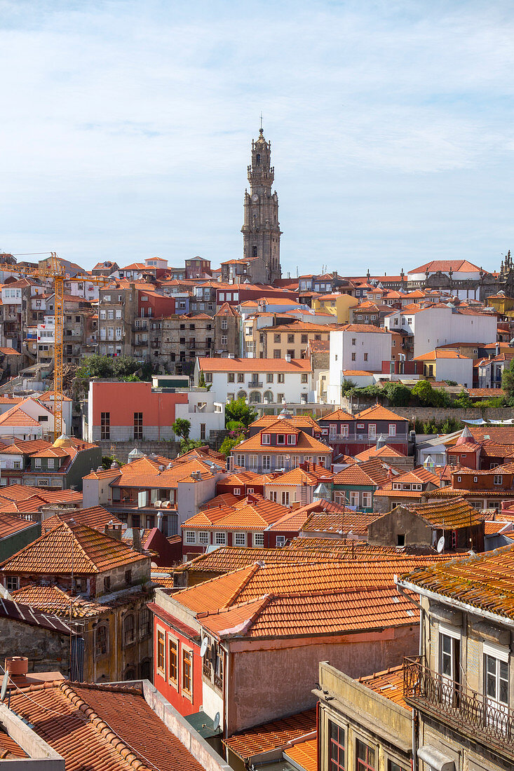 Blick über die Altstadt von Porto, mit dem Clérigos-Turm im Hintergrund, von der Terrasse der Kathedrale von Porto aus, Porto, Region Norte, Portugal