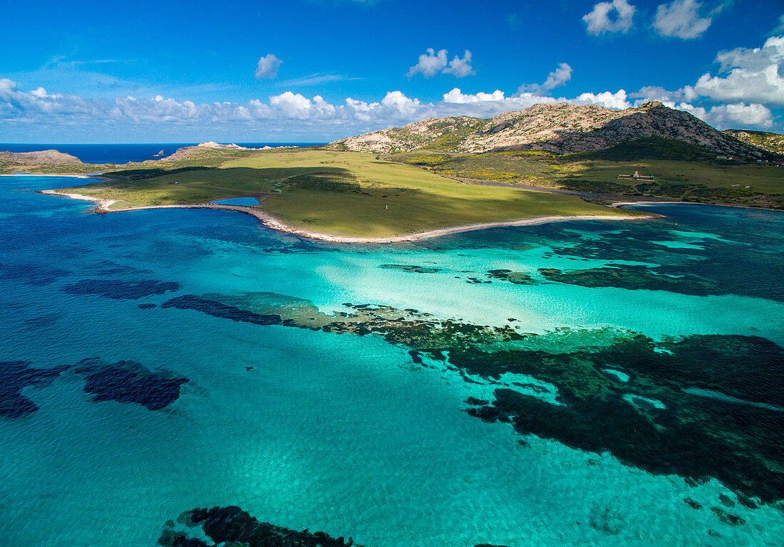 National Park of Asinara Island, Sassari province, Sardinia, Italy, Europe.
