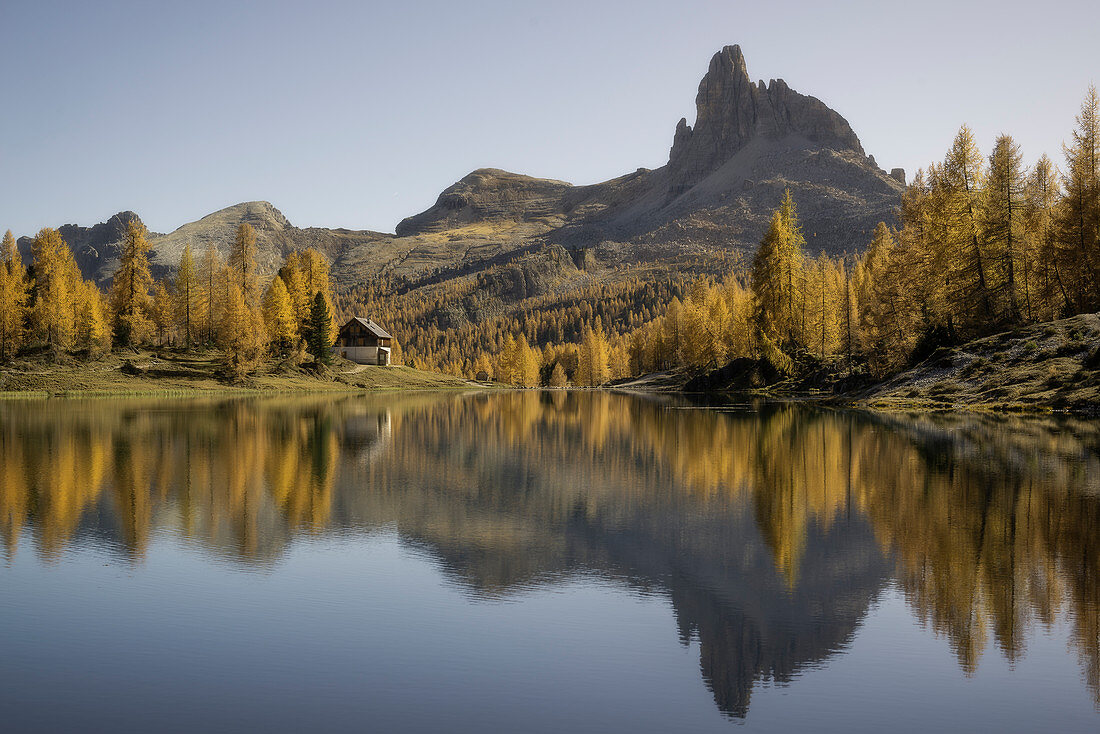 Federa-See im Herbst mit Becco di Mezzodì im Hintergrund, Cortina d Ampezzo, Belluno, Dolomiten, Venetien, Italien