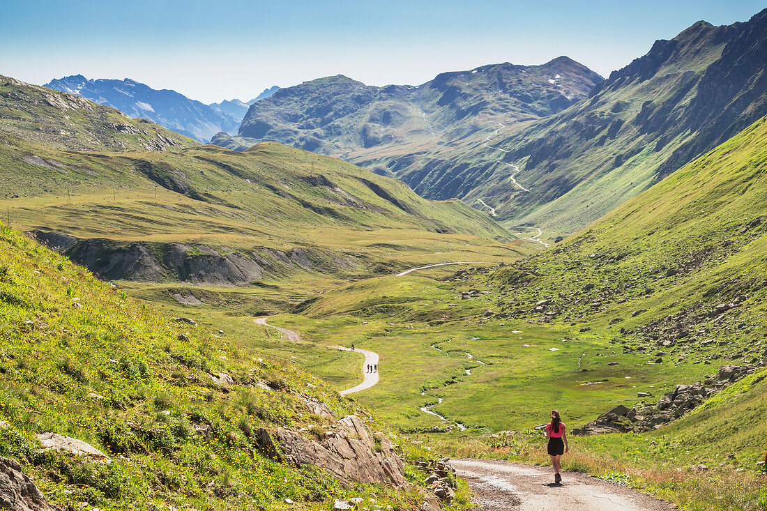 The green Valley of Alpe Verbella, Gaschurn, Bludenz, Vorarlberg, Austria, Europe 