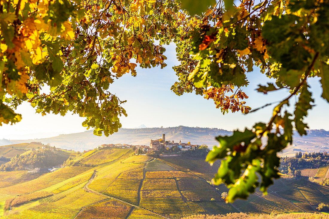 Das Dorf Castiglione Falletto zwischen Herbstfarben, Weinregion Barolo, Langhe, Piemont, Italien, Europa