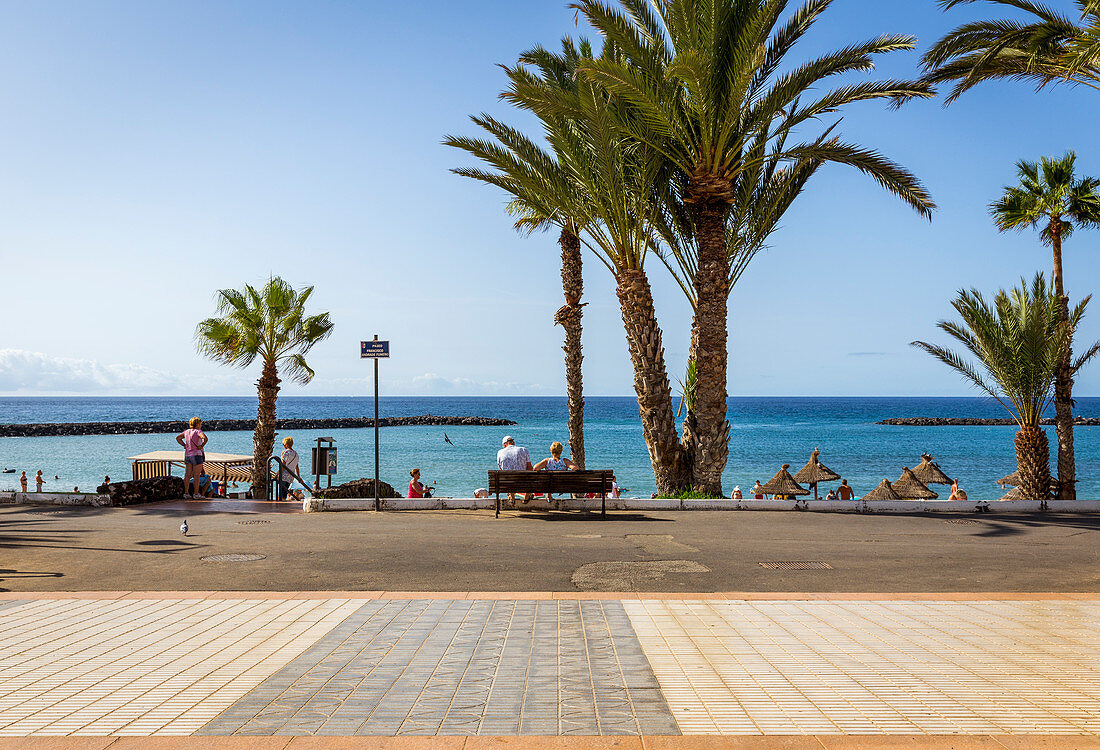 Spain,Canary Islands,Tenerife,Santa Cruz de Tenerife,view from Paseo Francisco Andrade Fumero