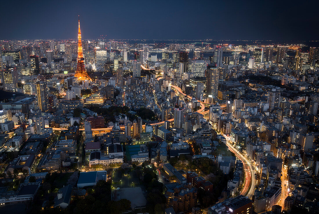 Tokio bei Nacht mit Tokyo Tower, Tokio, Japan