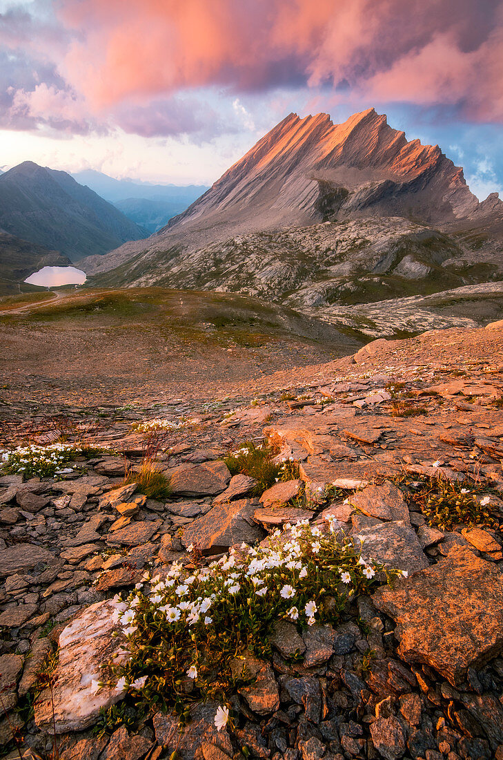 Taillante crest during a stunning sunset, Ristolas, France