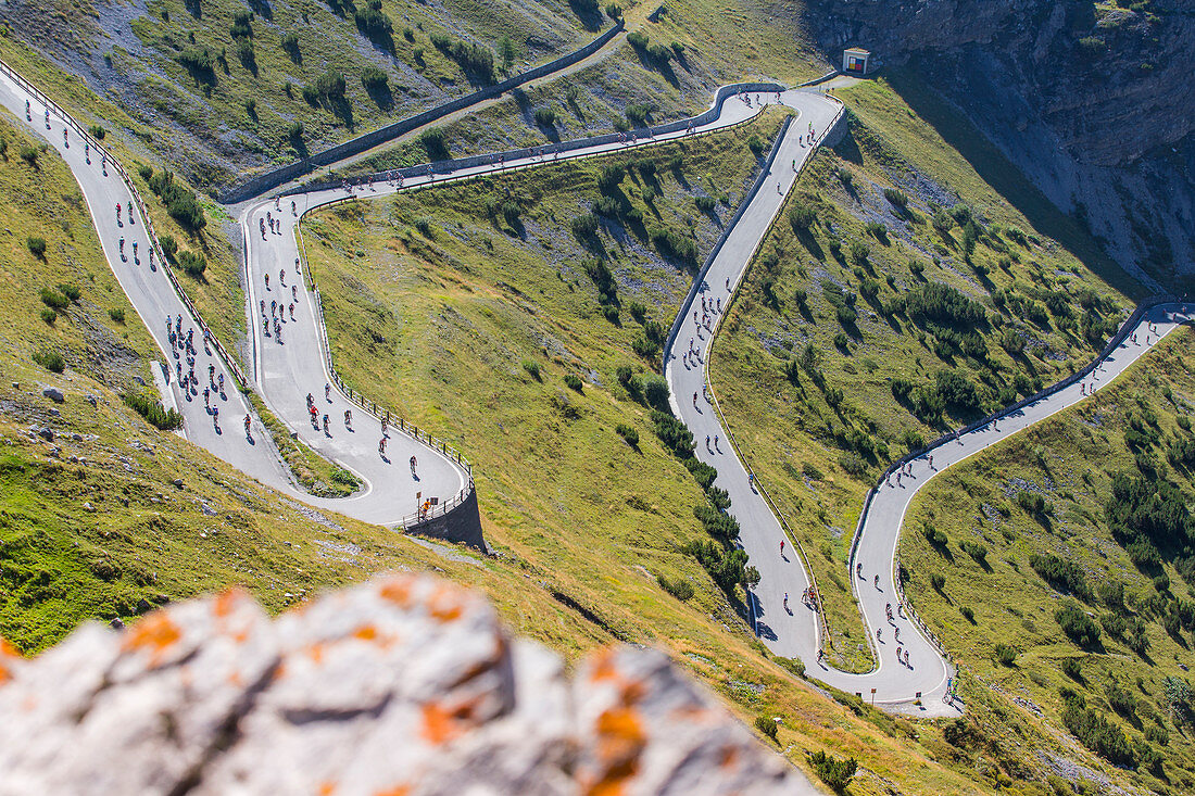 Cyclists in the baneds of  Stelvio pass during the Stelvio bike day. Bormio, Lombardy, italian Alps