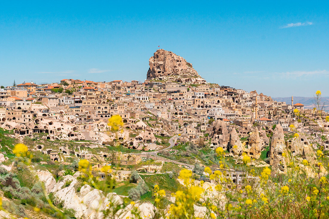 Ancient fortress of Uchisar with spring yellow flowers. Cappadocia, Kaisery district, Anatolia, Turkey.