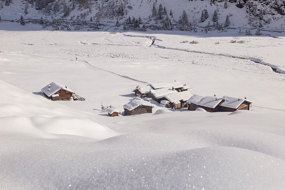 Alpine huts in the snow during winter. Rezzalo valley, Sondalo, Valtellina, Sondrio district, Lombardy, Alps, Italy, Europe.