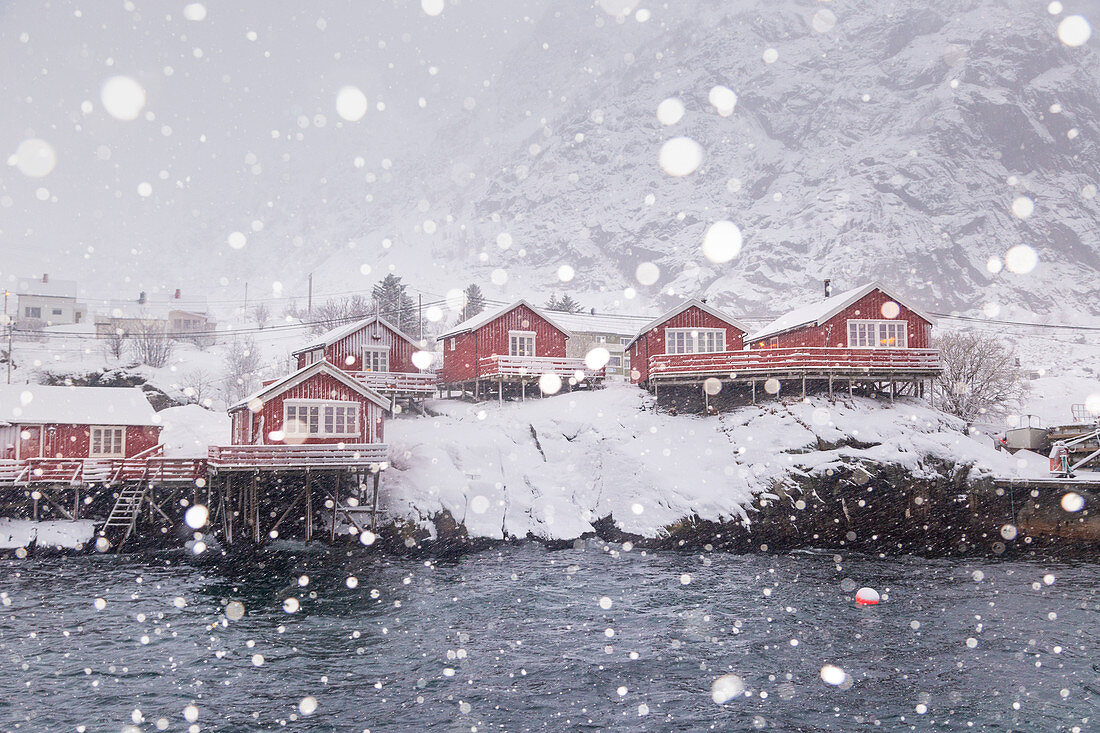 The red houses of A the last village of Lofoten island during a winter snowfall. A, Lofoten island, Norway, Scandinavia, Europe.