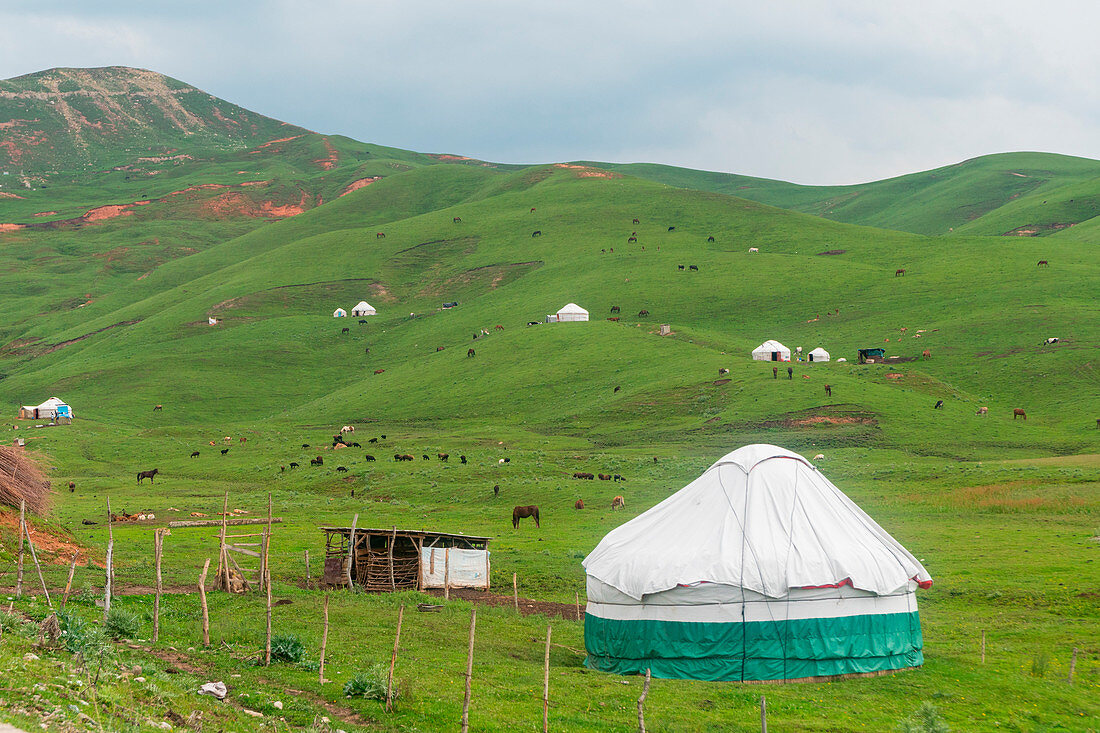 Jurten und Pferde in der Landschaft in der Nähe von Gulca, Tschyjyrtschyk-Pass, Kirgisistan, Zentralasien