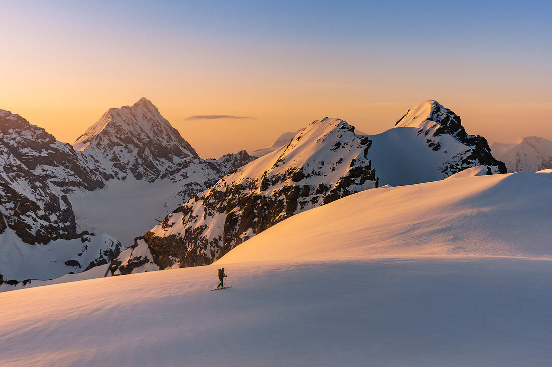 Ski touring at Punta degli Spiriti, Geister spitze with the sunrise light and Gran Zebrù, Konig spitze in the background. Stelvio pass, Stilfser joch, Bormio, SOndrio district, Alps, Lombardy, Italy, Europe.