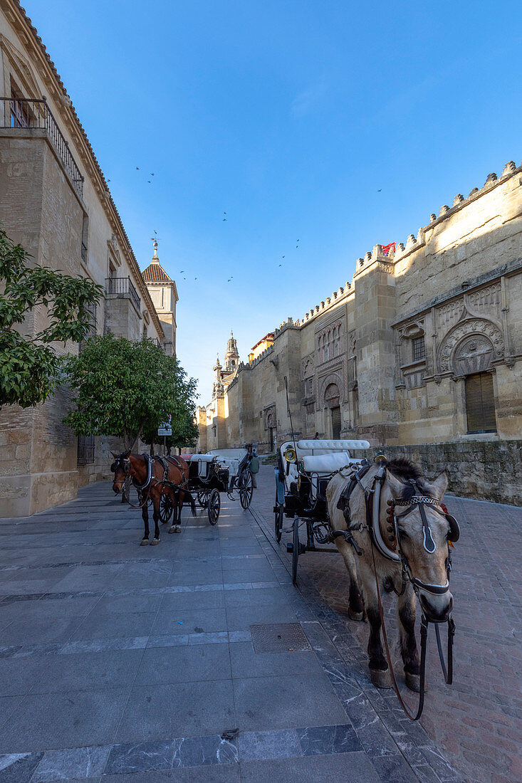 Cordoba alley, Cordoba district, Andalusia, Spain