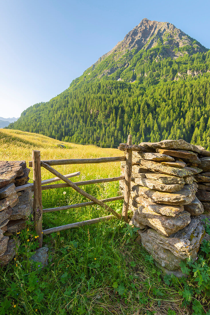 Chiareggio, Valmalenco, Valtellina, Province of Sondrio, Lombardy, Italian alps, Italy