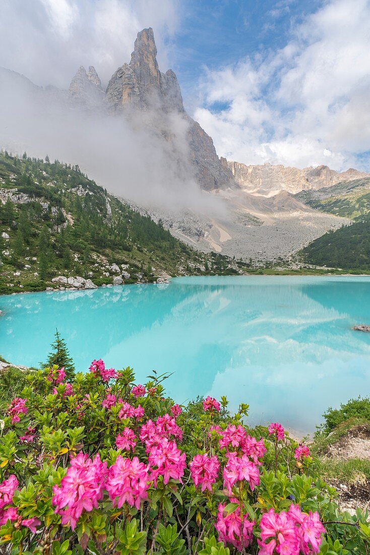 Sorapis Group with clouds and Sorapis Lake in summer, with rhododendron flowers in the foreground. Cortina d'Ampezzo, Belluno province, Veneto, Italy.