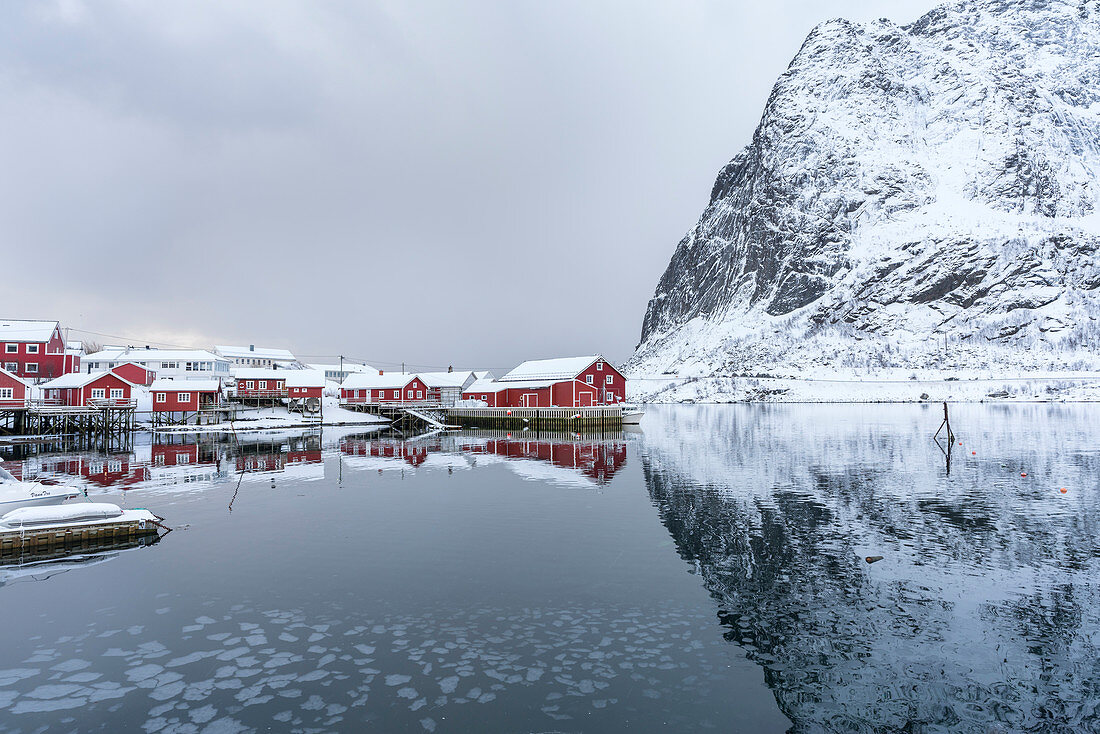 Traditional 'rorbu' houses with Reinebringen mountain reflected on the frozen fjord. Reine, Lofoten district, Nordland county, Northern Norway, Norway.