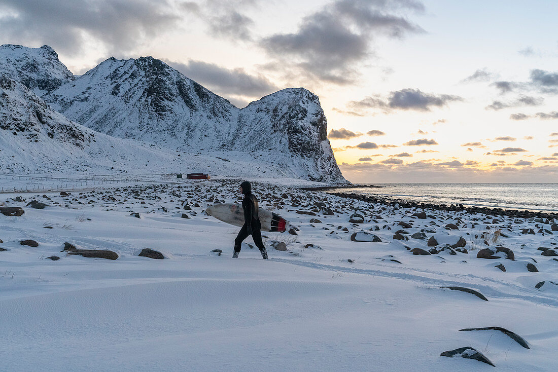 Surfer walking with his surfboard under the arm on Unstad Beach in winter at sunset. Vestvagoy municipality, Nordland county, Northern Norway, Norway.