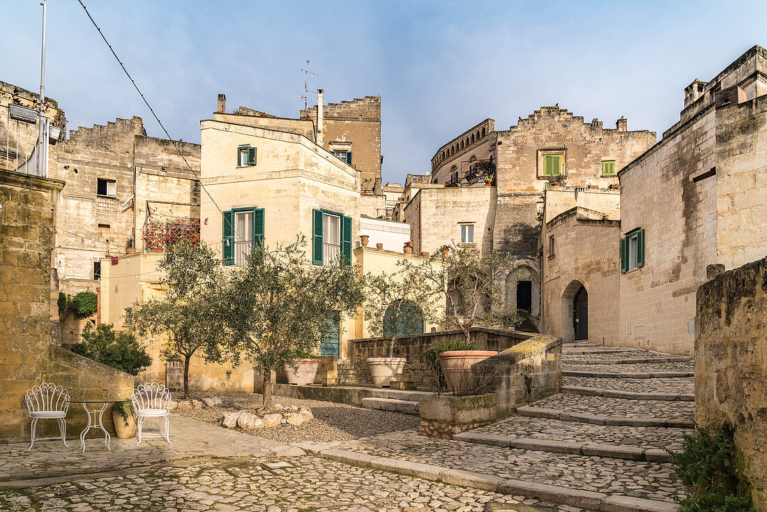 Typische Ecke im alten Stadtteil Sassi mit einem Olivenbaum in der Mitte, Matera, Region Basilikata, Italien