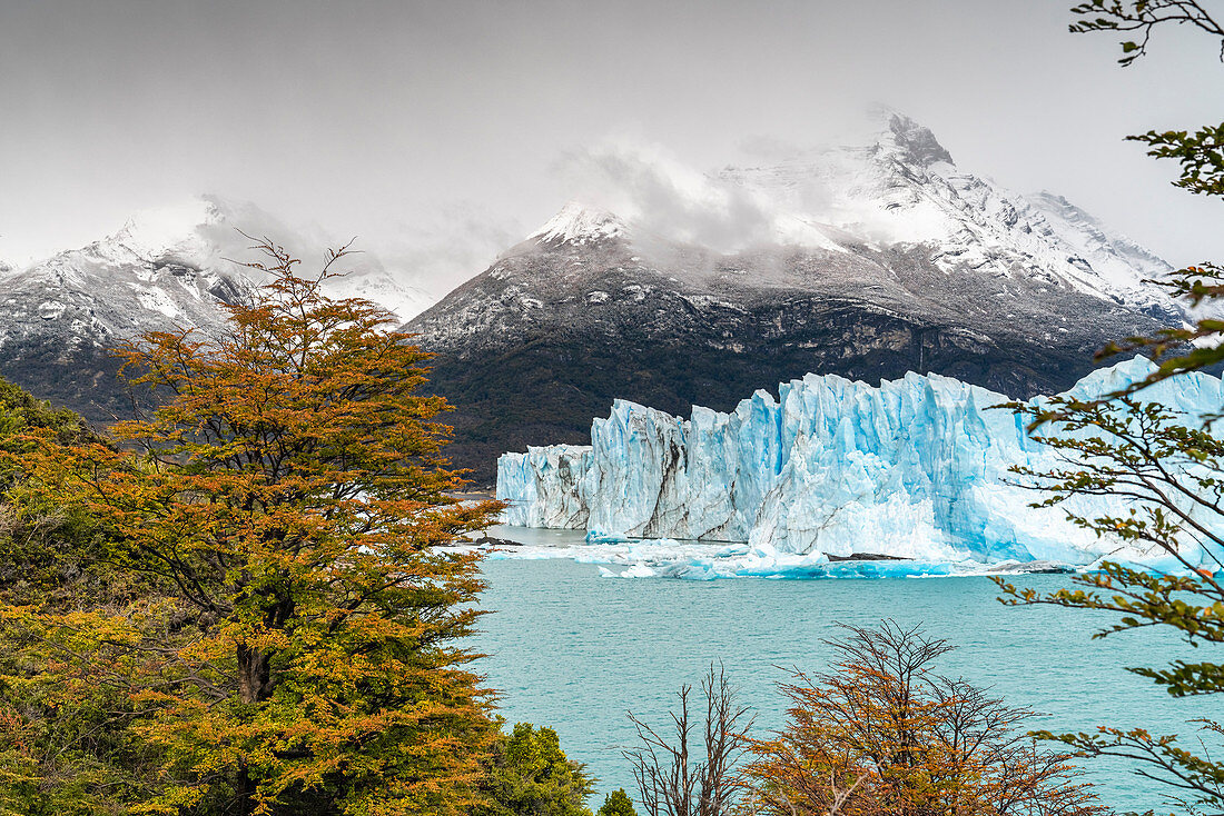 Perito Moreno mit Bäumen, Lago Argentino und Bergen im Herbst, Nationalpark Los Glaciares, Provinz Santa Cruz, Argentinien