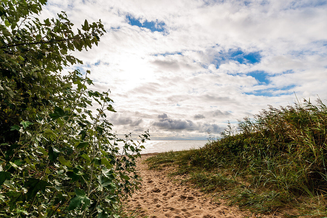 Strandweg in Kraksdorf an der Ostsee, Ostholstein, Schleswig-Holstein, Deutschland