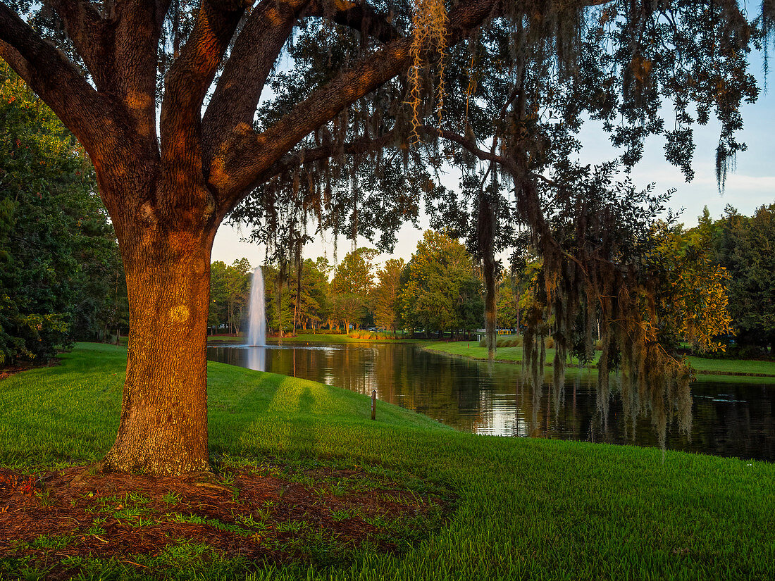 USA, Florida, Orlando, Sonnenaufgang auf den Feldern