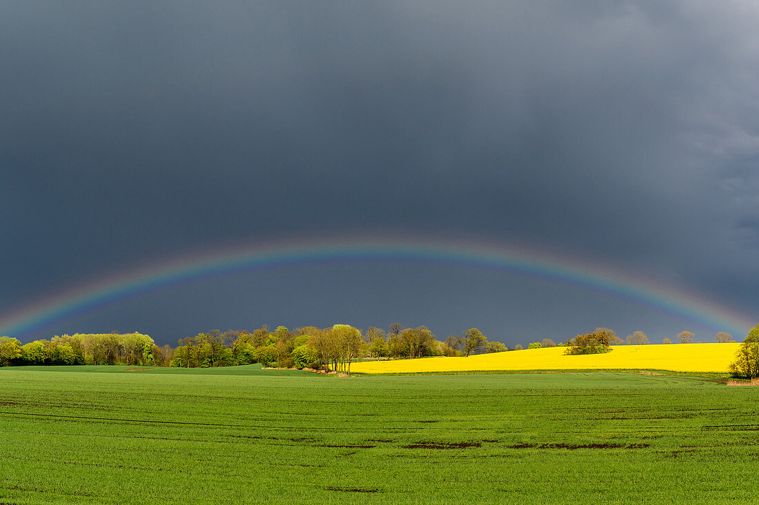 Regenbogen nach einem Gewitterschauer, Rosenhof  Ostholstein, Schleswig-Holstein, Deutschland