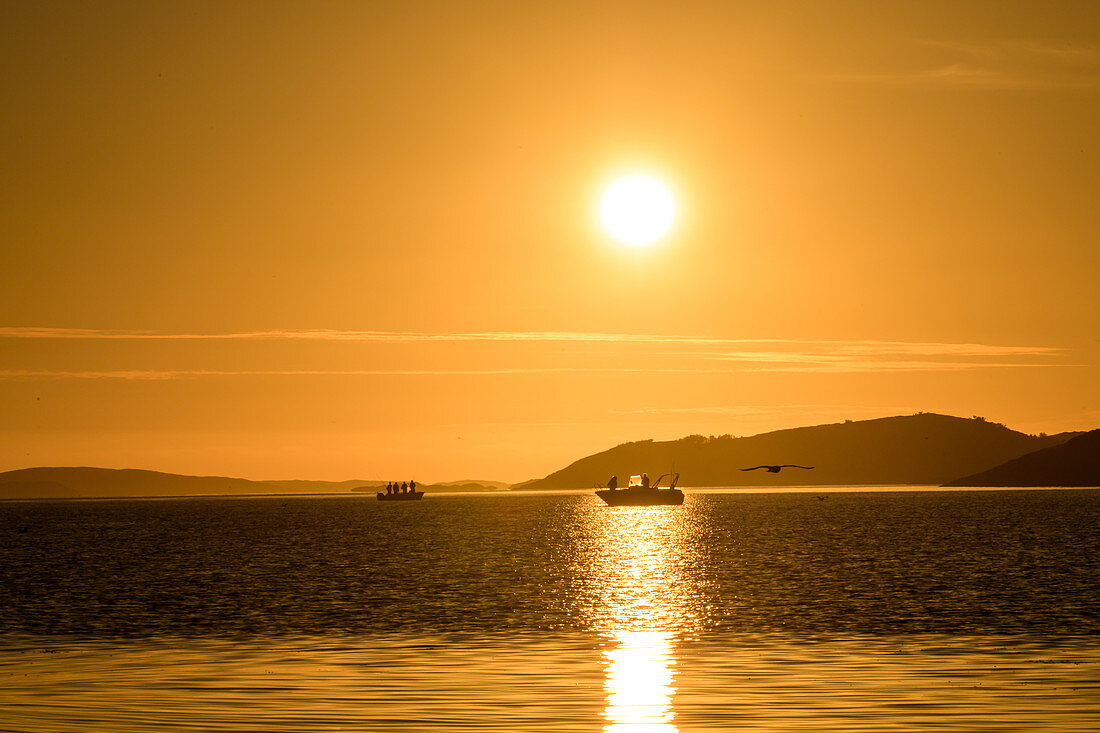 Angler with boats in the midnight sun in the fjord, Lauvsnes, Namdalen, Trondelag, Norway