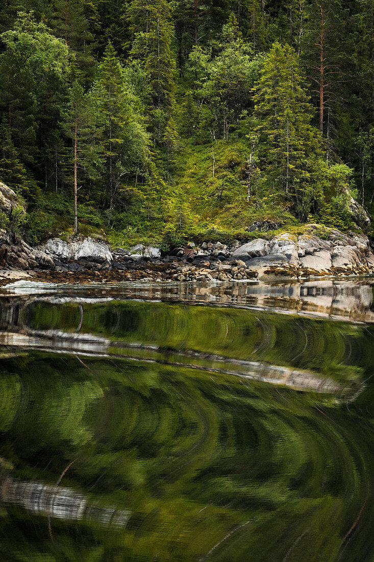 Spiegelung des Waldes in den Wellen eines Fjordes, Tröndelag, Namdalen, Norwegen