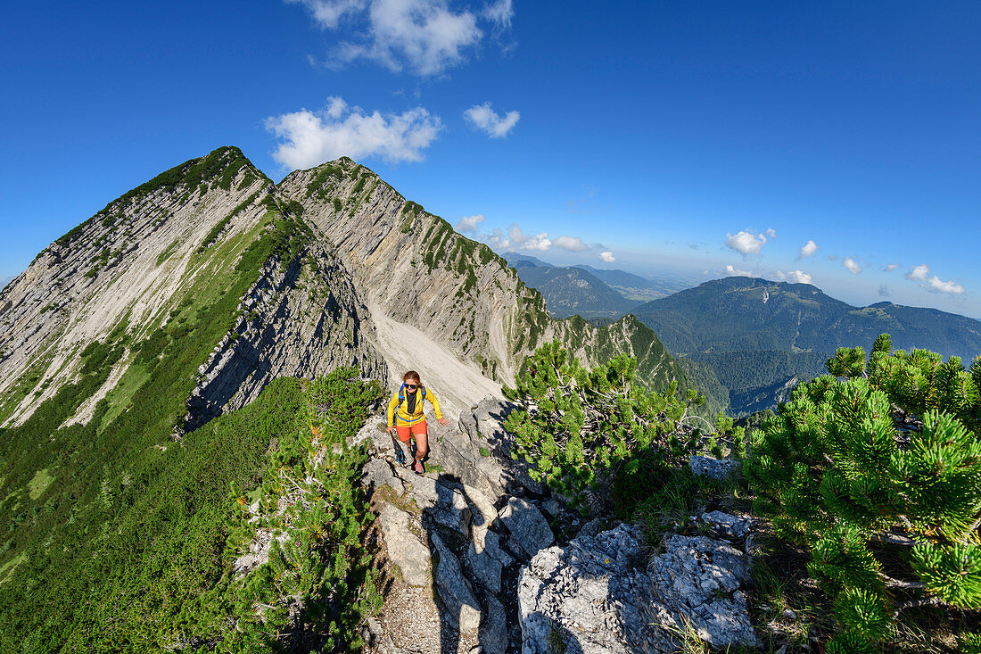Woman hiking climbs over the ridge to the Sonntagshorn, Reifelberge in the background, Sonntagshorn, Chiemgau Alps, Chiemgau, Upper Bavaria, Bavaria, Germany