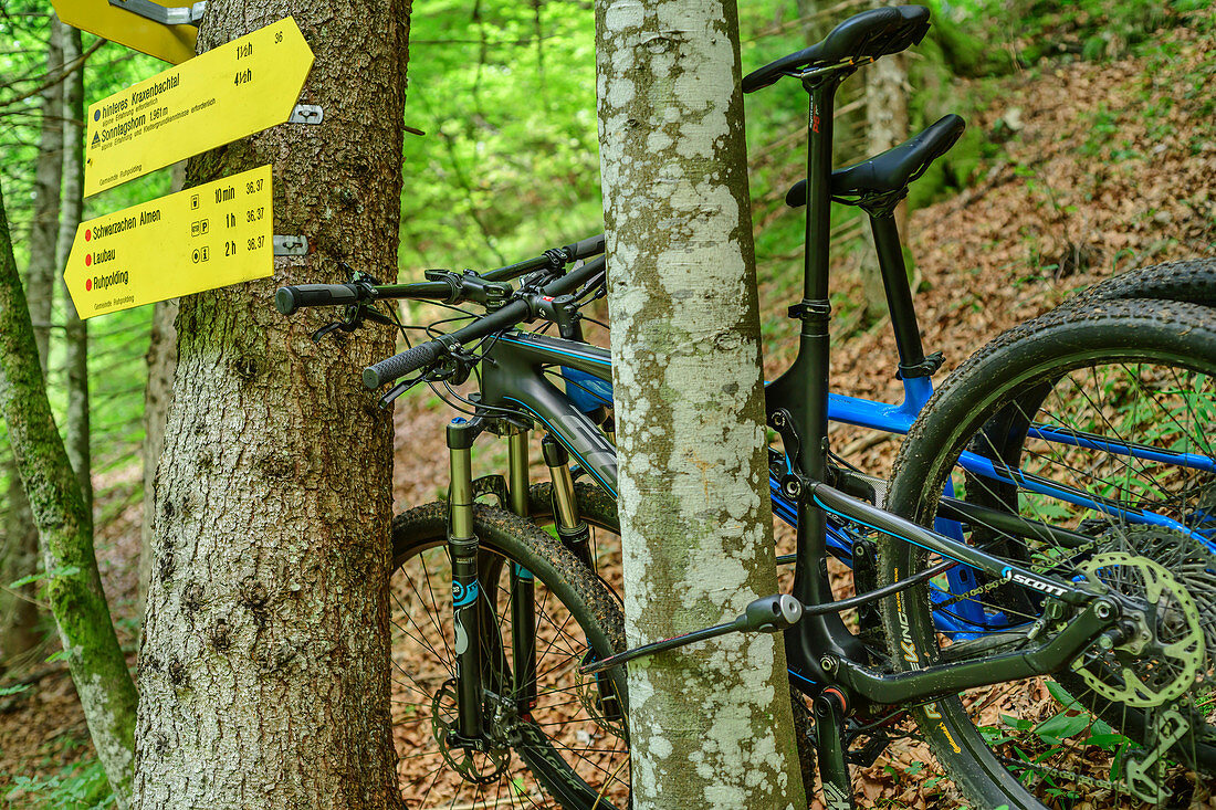Mountain bikes lean on the tree at signpost, Sonntagshorn, Chiemgau Alps, Chiemgau, Upper Bavaria, Bavaria, Germany