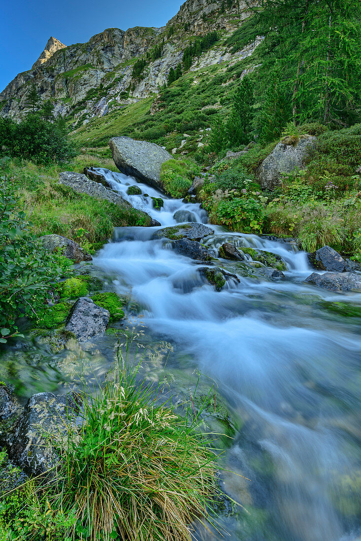Kalserbach fließt über bemooste Felsen, Dorfertal, Glocknergruppe, Nationalpark Hohe Tauern, Osttirol, Österreich