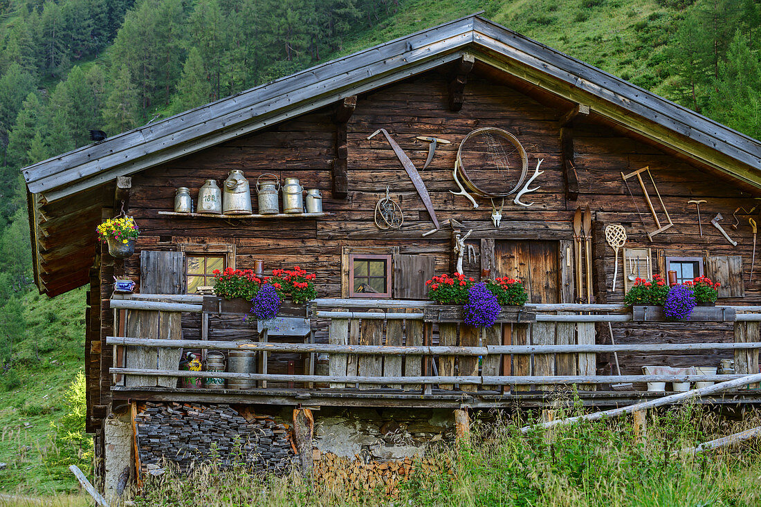 Blumengeschmückte Alm, Glocknergruppe, Hohe Tauern, Nationalpark Hohe Tauern, Osttirol, Österreich