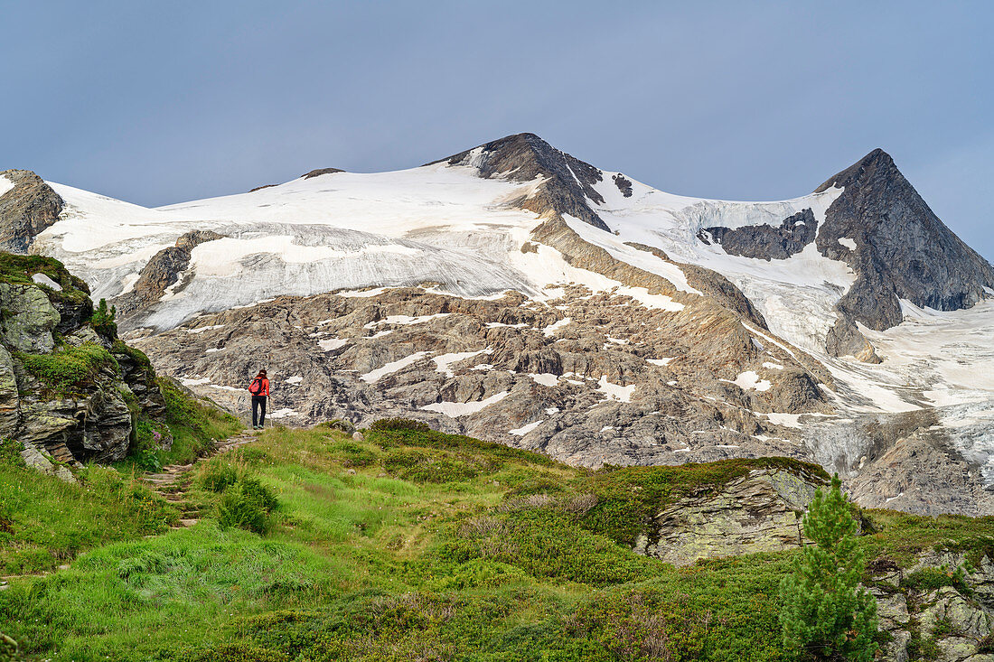 Woman hiking climbs to the Neue Prager Hut, Hoher Zaun and Schwarze Wand in the background, Venediger Group, Hohe Tauern, Hohe Tauern National Park, East Tyrol, Austria