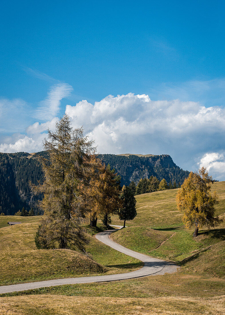 Autumn day on the Seiser Alm in South Tyrol, Italy