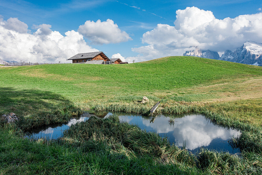Small pond on the Alpe di Siusi in South Tyrol, Italy