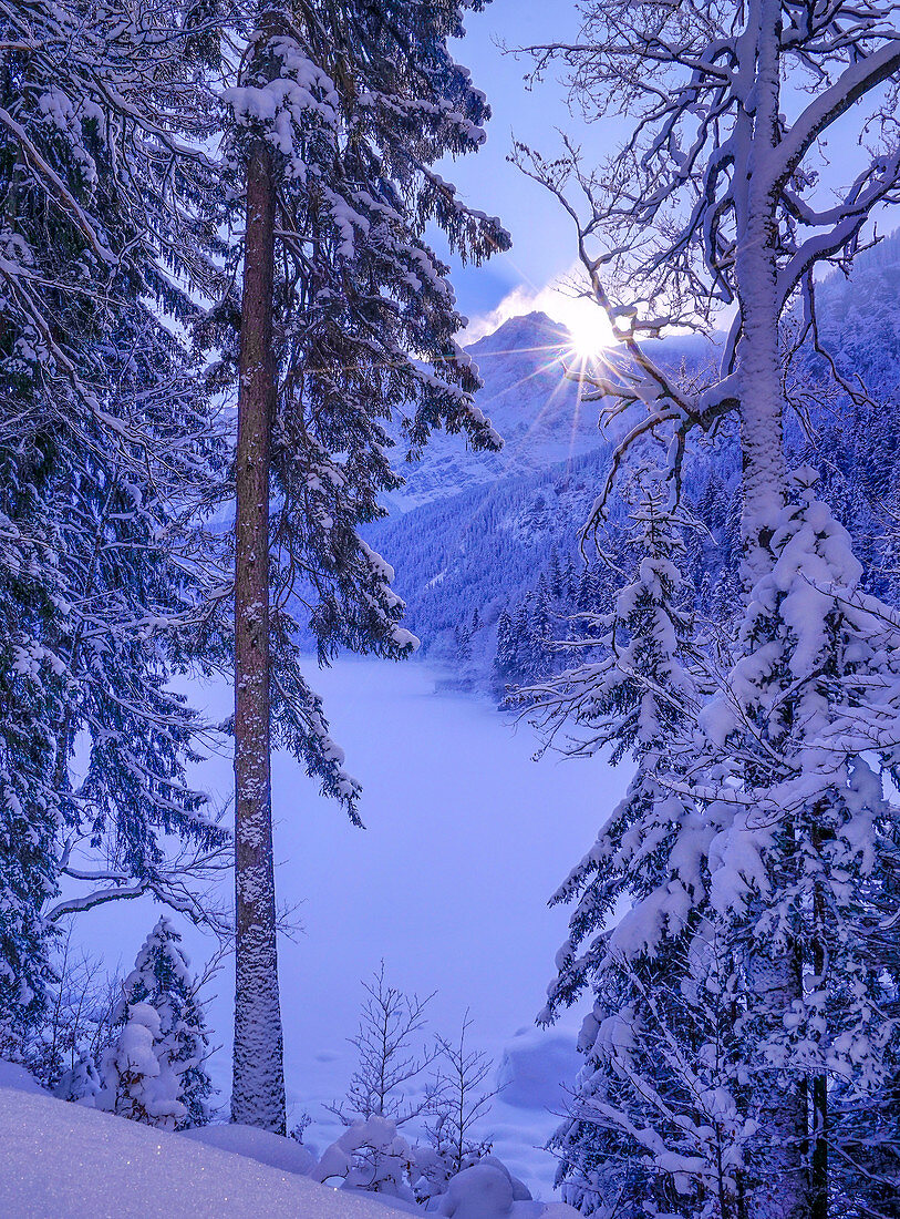 Wintermorgen am zugefrorenen Eibsee, Grainau, Bayern, Deutschland   